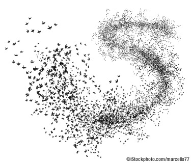 Project Renaissance, IBM Project Renaissance, IBM