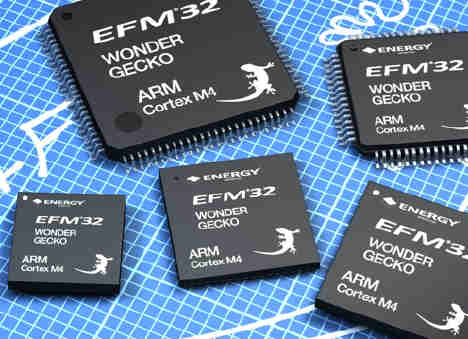 Wonder Gecko Wonder Gecko