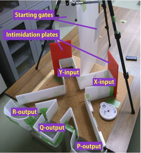 Krabbgrind Krabbgrind