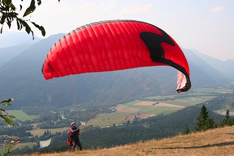 Per Hammarlund Per Hammarlund