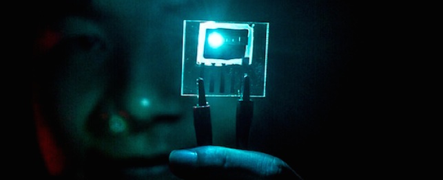 Pholed blue Michigan Pholed blue Michigan