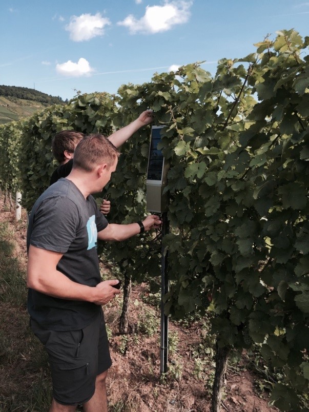 tracovino_1 Tracovino