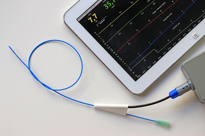 Neosense. Foto: Peter Larsson Neosense. Foto: Peter Larsson