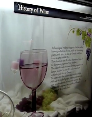 Samsung transparent LCD